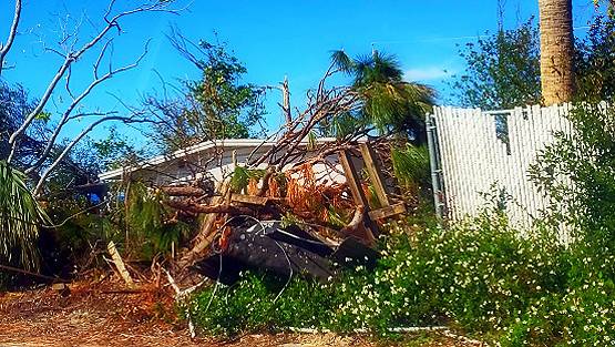 कोरोना के बाद अब कुदरत का कहर झेलेगा अमेरिका, एक्सपर्ट ने चेताया