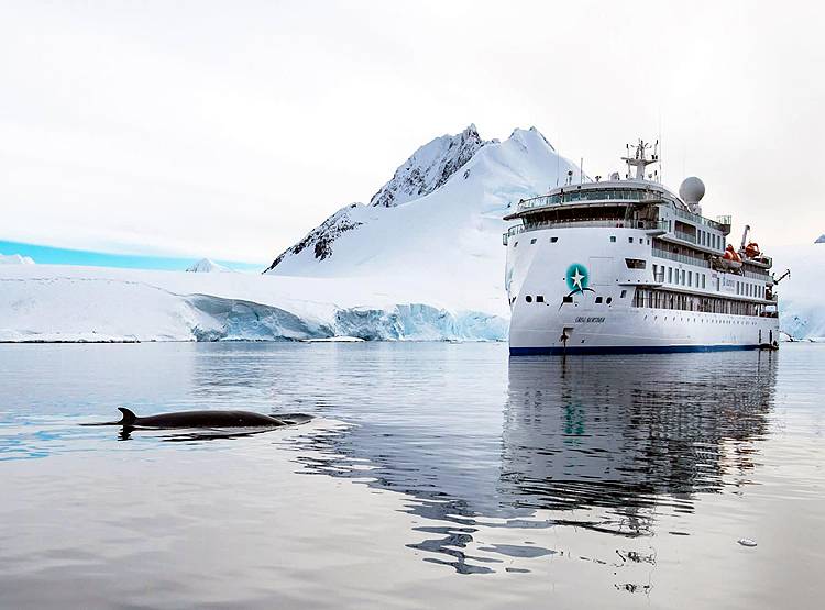 अंटार्कटिका जा रहे जहाज के यात्रियों को कोरोना, बीच समंदर में फंसा