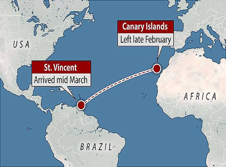 25 दिन तक समुद्री यात्रा पर था कपल, जब किनारे आए तो पता चला कोरोना फैला है