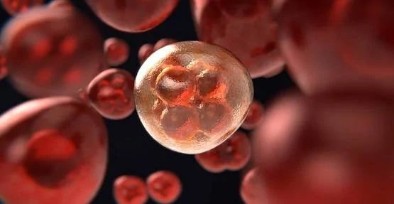 जिस बीमारी ने ली अभिनेता इरफान खान की जान, वह कितनी खतरनाक?