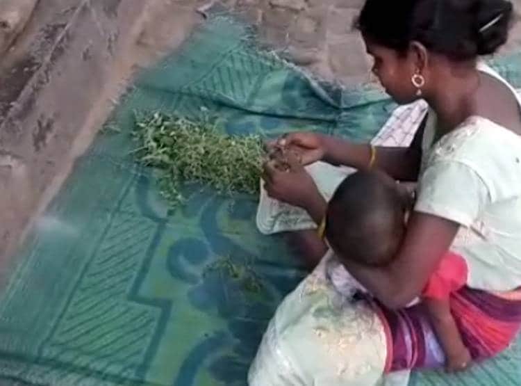 न राशन बचा-न पैसे, लॉकडाउन में घास की सब्जी खाने को मजबूर है ये परिवार