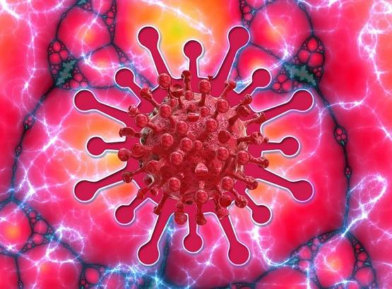 इस जानवर के खून से बन सकती है कोरोना की वैक्सीन, वैज्ञानिकों का दावा