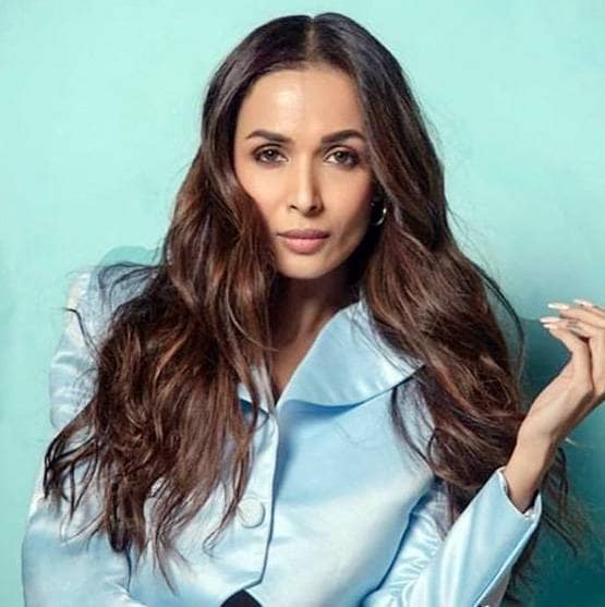 अर्जुन-मलाइका के बीच कोरोना बना अड़ंगा, वरना हो जाती दोनों की शादी!