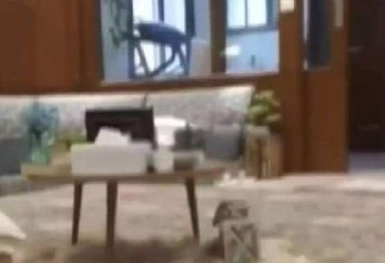 मौलाना साद का आलीशान फार्म हाउस: स्वीमिंग पूल और गाड़ियों का काफिला