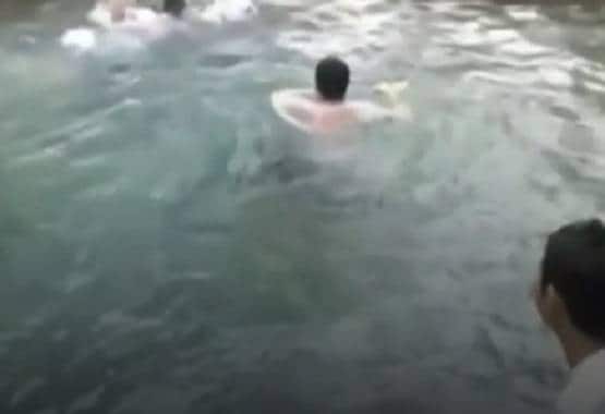 मौलाना साद का आलीशान फार्म हाउस: स्वीमिंग पूल और गाड़ियों का काफिला