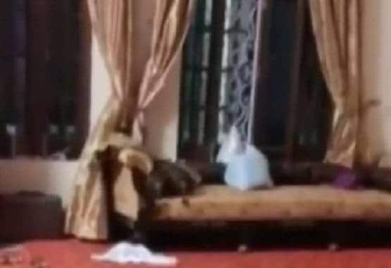 मौलाना साद का आलीशान फार्म हाउस: स्वीमिंग पूल और गाड़ियों का काफिला