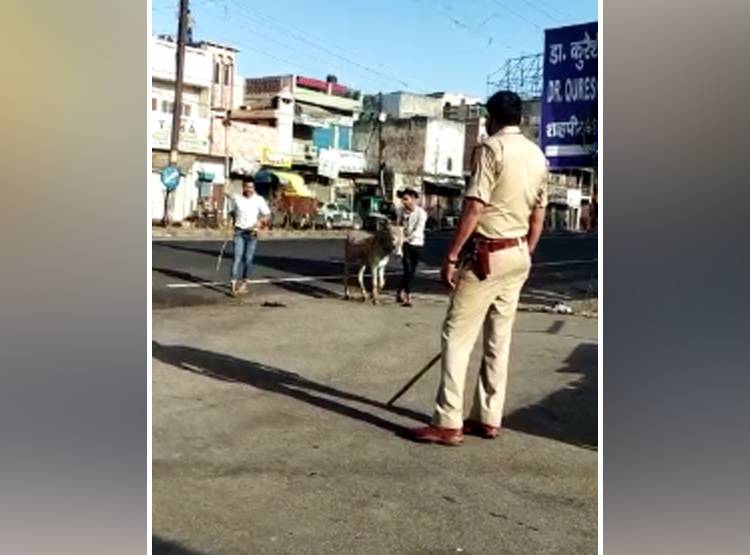 गधे पर बैठकर शहर में घूमने निकले, पुलिस ने कान पकड़कर लगवाई उठक-बैठक