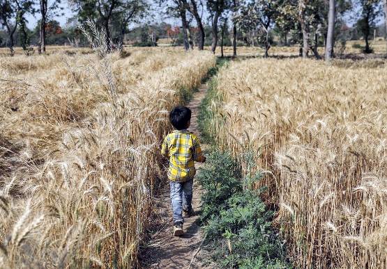 बेटे को कंधे पर बिठाकर नापी 500 KM की दूरी, फिर दिखी घर पहुंचने की खुशी