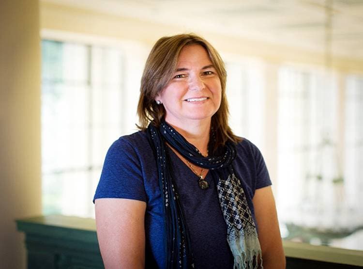 वायरस ऊर्जा के स्रोत, इनसे बनी हैं बैटरियां, MIT प्रोफेसर का दावा