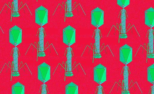 वायरस ऊर्जा के स्रोत, इनसे बनी हैं बैटरियां, MIT प्रोफेसर का दावा