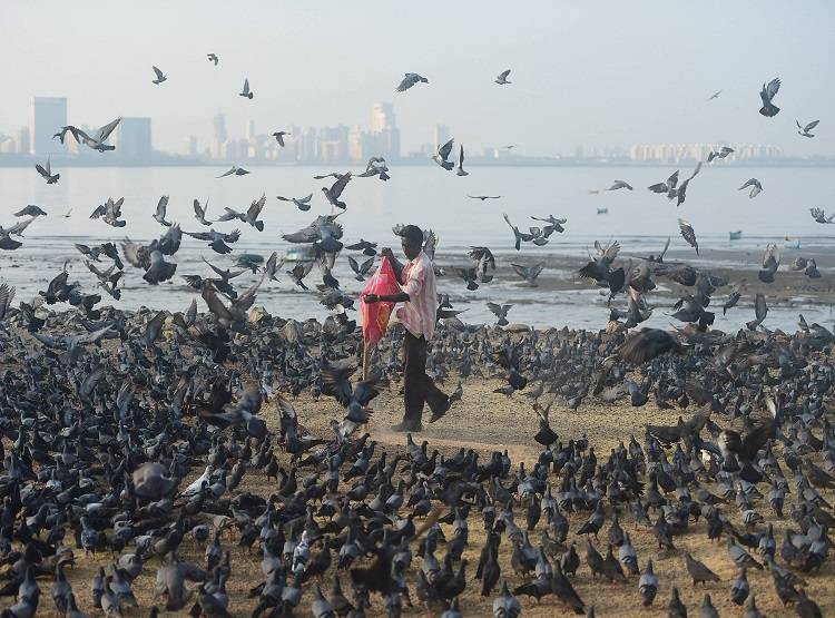 कोरोना काल में दुनिया का हाल... देखें एक वायरस से जंग ने दिखाए कैसे-कैसे रंग!