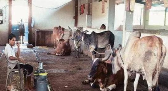 फ्लिपकार्ट पर मोबाइल की बिक्री रुकी, सरकार ने कहा- बस इन 17 सेवाओं पर छूट