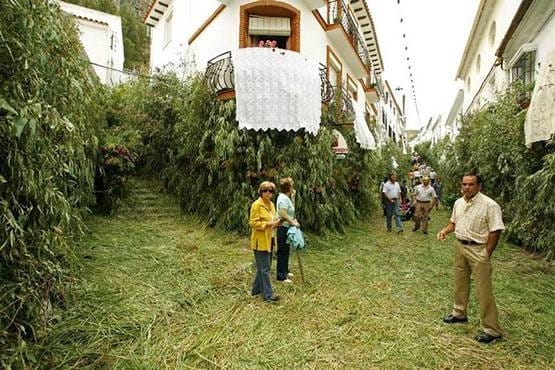 स्पेन में कोरोना से 11 हजार मौतें, लेकिन देश के इस शहर में एक भी संक्रमित नहीं