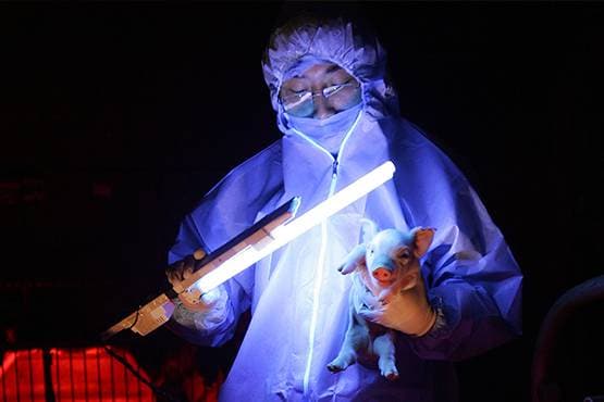 US साइंटिस्ट का दावा- खास प्रकार की UV लाइट से मर जाएगा कोरोना