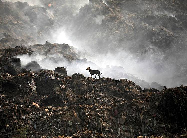 कोरोना का असर, द्वितीय विश्व युद्ध के बाद अब सबसे साफ हुई धरती की हवा