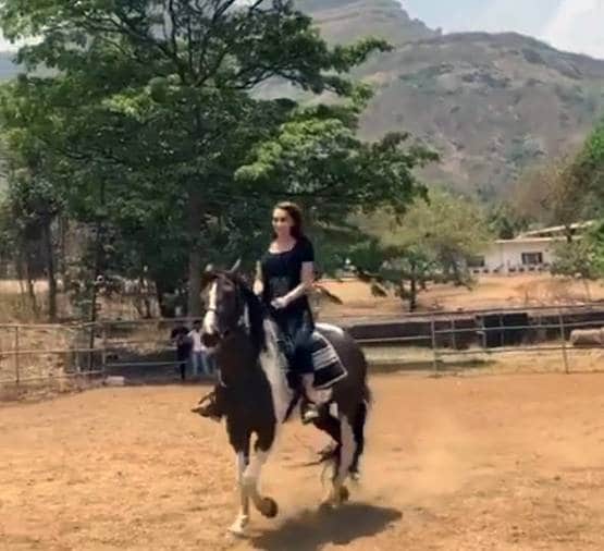 लॉकडाउन: फार्महाउस में सलमान के साथ हैं उनकी गर्लफ्रेंड? वायरल वीडियो