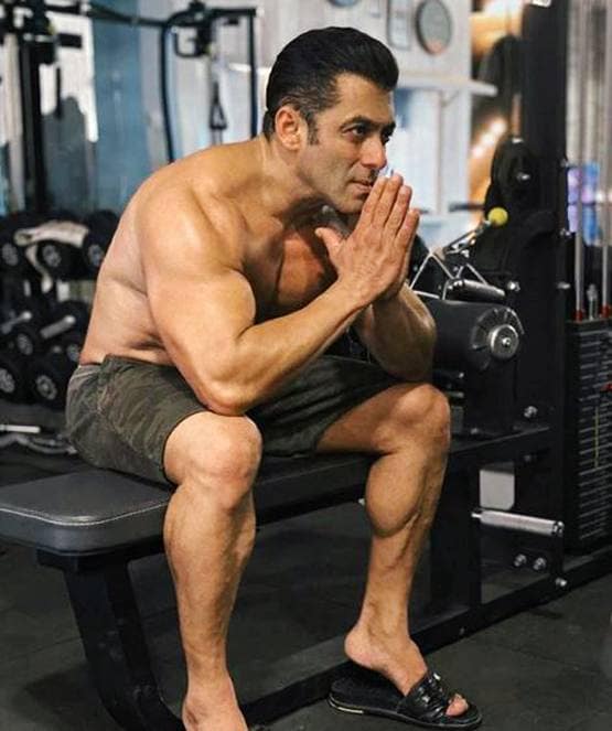 लॉकडाउन: फार्महाउस में सलमान के साथ हैं उनकी गर्लफ्रेंड? वायरल वीडियो