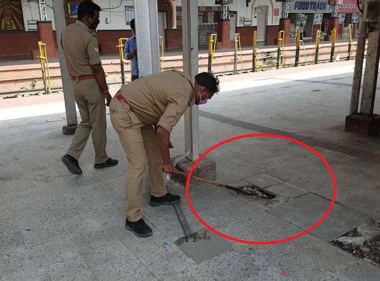 ट्रेनें बंद, स्टेशन सूना...प्लेटफार्म पर चला आया 6 फीट लंबा अजगर