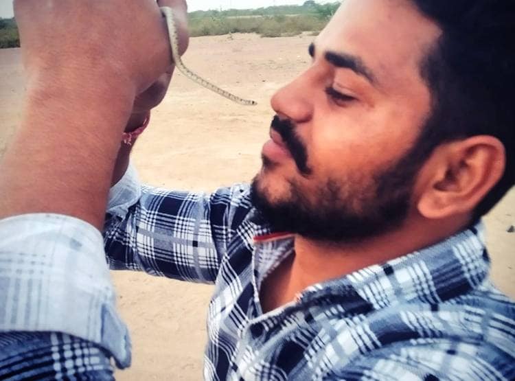 लॉकडाउन में लोग घरों में कैद, बिलों से निकलकर घूम रहे हैं सांप