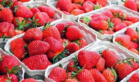 इम्यूनिटी बढ़ाएंगी ये 9 चीजें, कोरोना वायरस से लड़ने में मिलेगी मदद