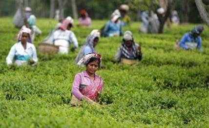 फ्लिपकार्ट पर मोबाइल की बिक्री रुकी, सरकार ने कहा- बस इन 17 सेवाओं पर छूट