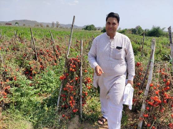 किसान फ्री में बांट रहे सब्जी, लॉकडाउन से बंद है सप्लाई