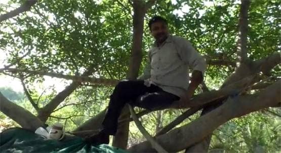 कोरोना के डर से पेड़ पर चढ़ा वकील, बोला- ये सोशल डिस्टेंसिंग का तरीका