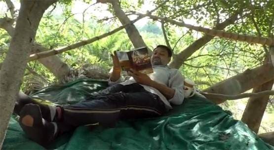 कोरोना के डर से पेड़ पर चढ़ा वकील, बोला- ये सोशल डिस्टेंसिंग का तरीका