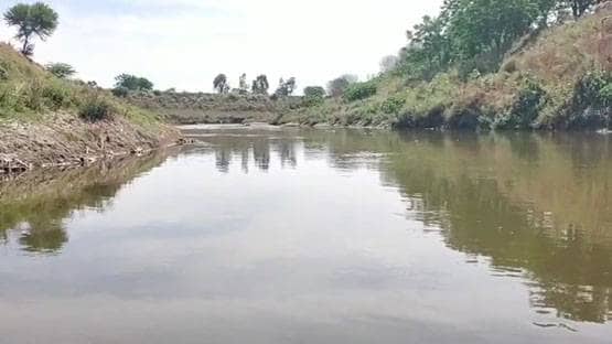 करोड़ों खर्च कर भी साफ नहीं हुआ शहर का पानी, लॉकडाउन ने कर दिखाया