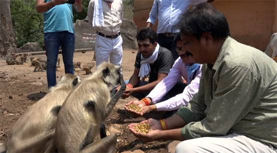 लॉकडाउन के चलते संकट में चित्रकूट के बंदर, लोगों ने की मदद