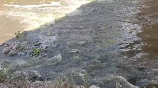 करोड़ों खर्च कर भी साफ नहीं हुआ शहर का पानी, लॉकडाउन ने कर दिखाया