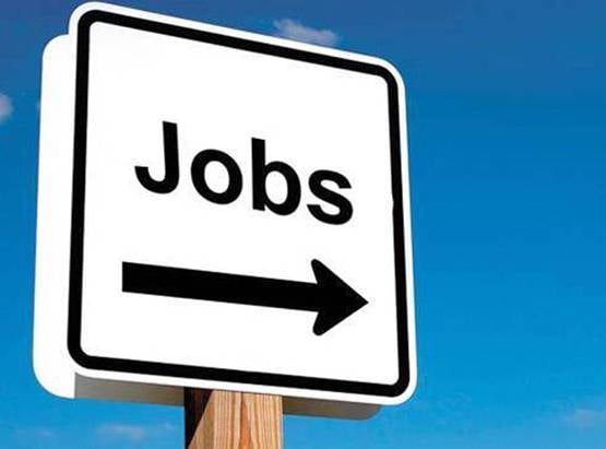 खत्म हो सकती हैं 19.5 करोड़ जॉब्स, भारत में यहां सरकारी नौकरी के मौके