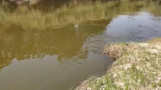 करोड़ों खर्च कर भी साफ नहीं हुआ शहर का पानी, लॉकडाउन ने कर दिखाया