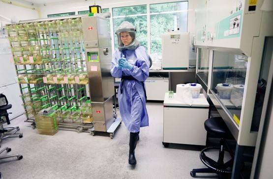 कोरोना वायरस ब्रेन को भी पहुंचा सकता है नुकसान? क्या कहती है रिसर्च