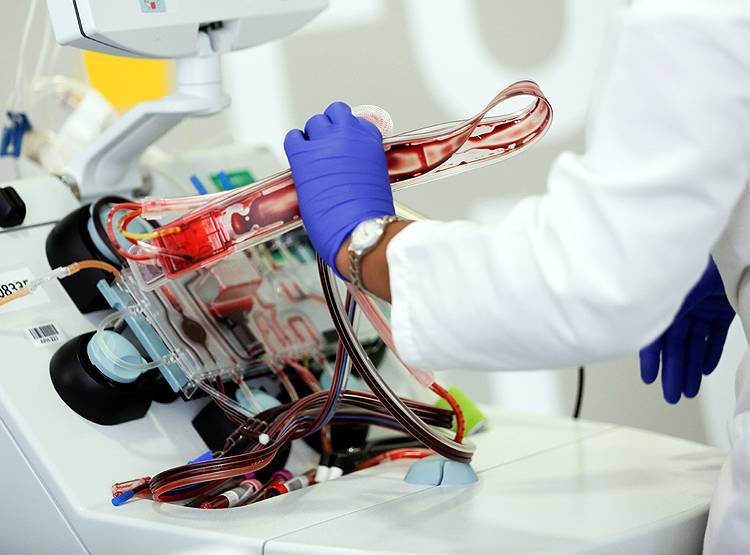 क्या PAK बना रहा कोरोना वैक्सीन? स्वास्थ्य मंत्री ने दिया जवाब