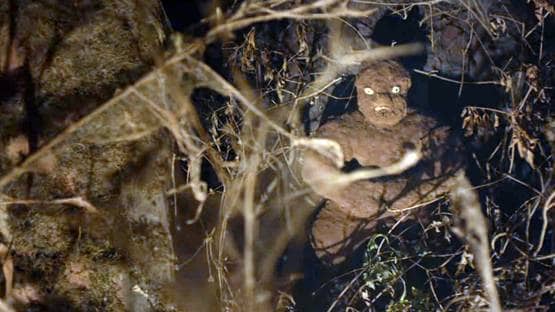 हॉरर ड्रामा के शौकीन हैं तो जरूर देखें ये फिल्में, उड़ जाएंगे होश