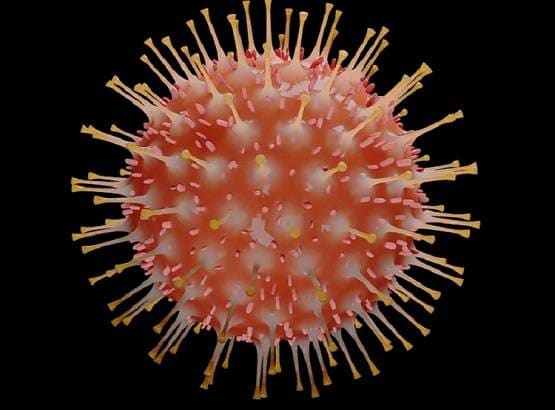 एक नहीं तीन किस्म का है कोरोना वायरस, जानें कौन सा है सबसे जानलेवा