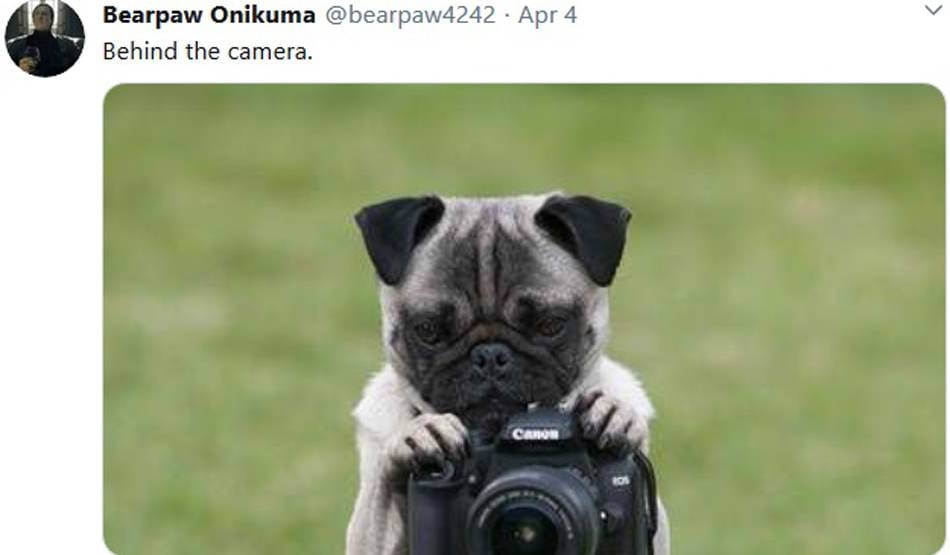 अंताक्षरी के बाद ट्विटर पर शुरू हुआ नया खेल, लोग दे रहे मजेदार जवाब