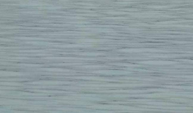 कोरोना: लॉकडाउन से घटी गंदगी, निर्मल होने लगीं गंगा और यमुना