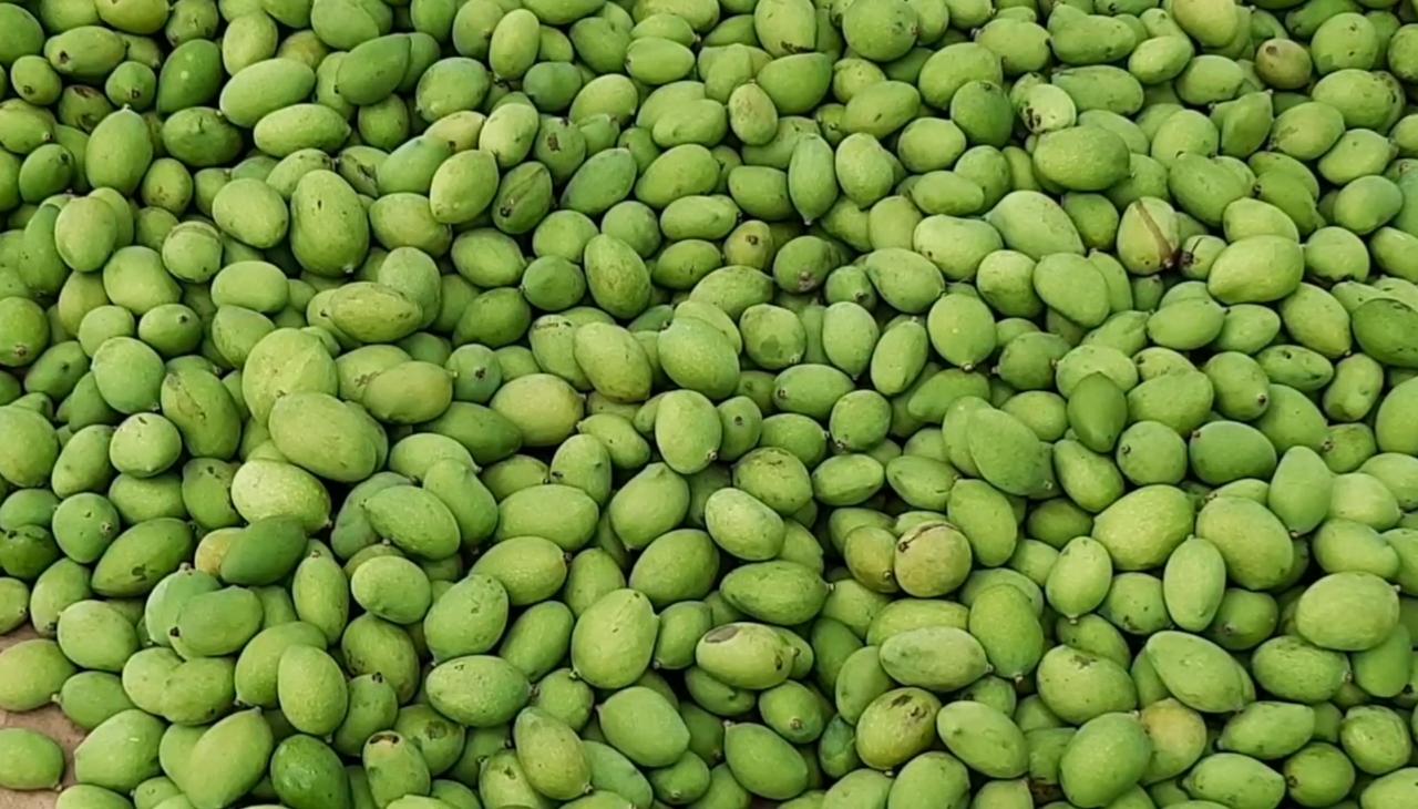 फोटो: उदय गुप्ता/आजतक