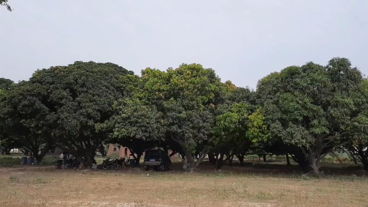 फोटो: उदय गुप्ता/आजतक