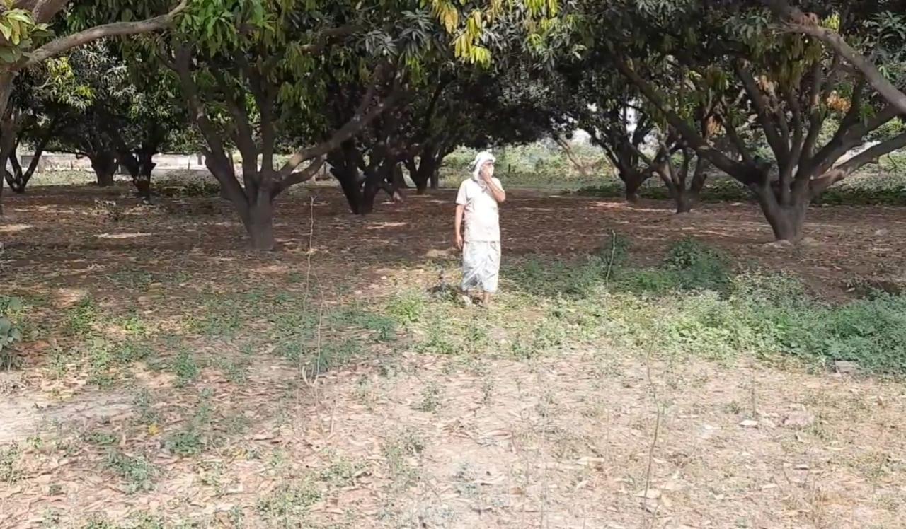 फोटो: उदय गुप्ता/आजतक