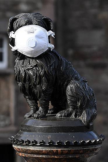 कोरोना संकट में मास्क लगाए दिखीं मूर्तियां, दुनिया हो गई स्टैच्यू!