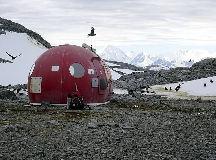 हरे रंग में बदल रही है अंटार्कटिका की सफेद बर्फ, वैज्ञानिक हैरान