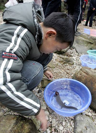 चीन में इस जीव का 2 KG मांस 1 लाख रु. का, इतना हुआ शिकार कि अब विलुप्त!