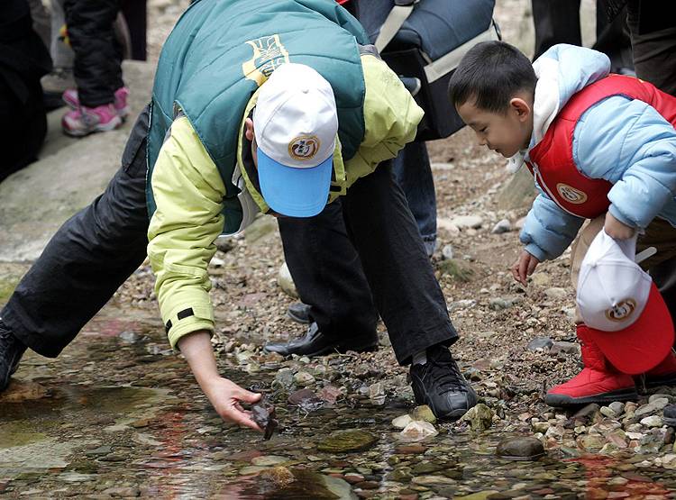 चीन में इस जीव का 2 KG मांस 1 लाख रु. का, इतना हुआ शिकार कि अब विलुप्त!