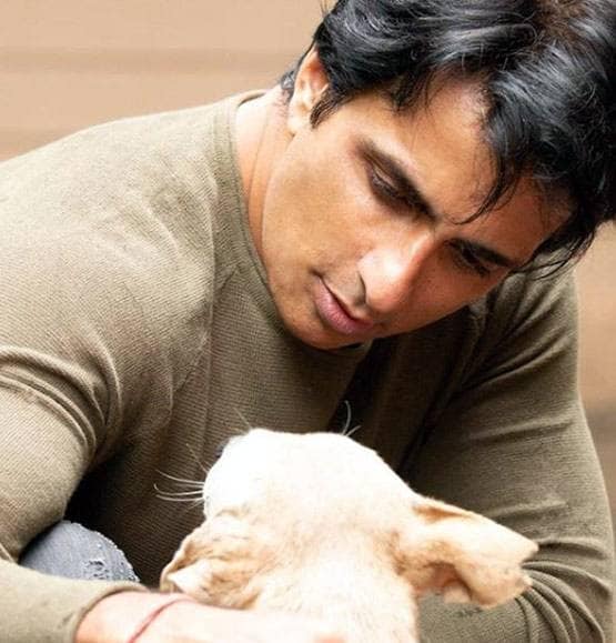 जानें- कहां से की है सोनू सूद ने पढ़ाई, मां चिट्ठियों में लिखा करती थीं ये बातें