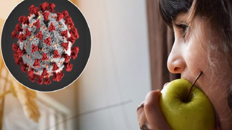 किन चीजों को खाने से स्ट्रॉन्ग होगा बच्चों का इम्यून?