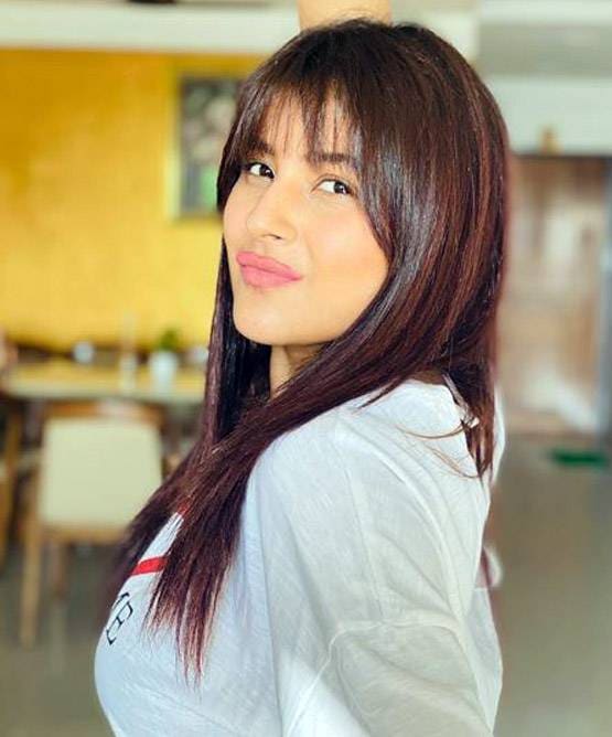 सिद्धार्थ के बाद जस्सी गिल संग म्यूजिक वीडियो में नजर आएंगी शहनाज