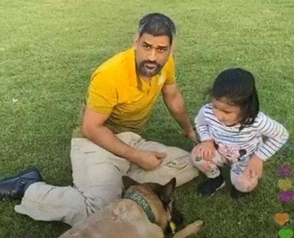 फैंस को नहीं भा रही धोनी की सफेद दाढ़ी, ट्विटर पर की ये मांग